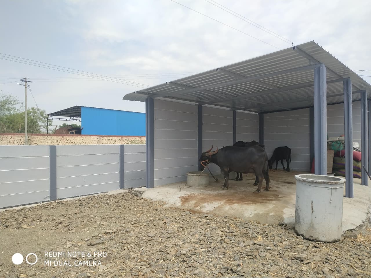 whatsapp image 2026 01 25 at 10.34.57 am