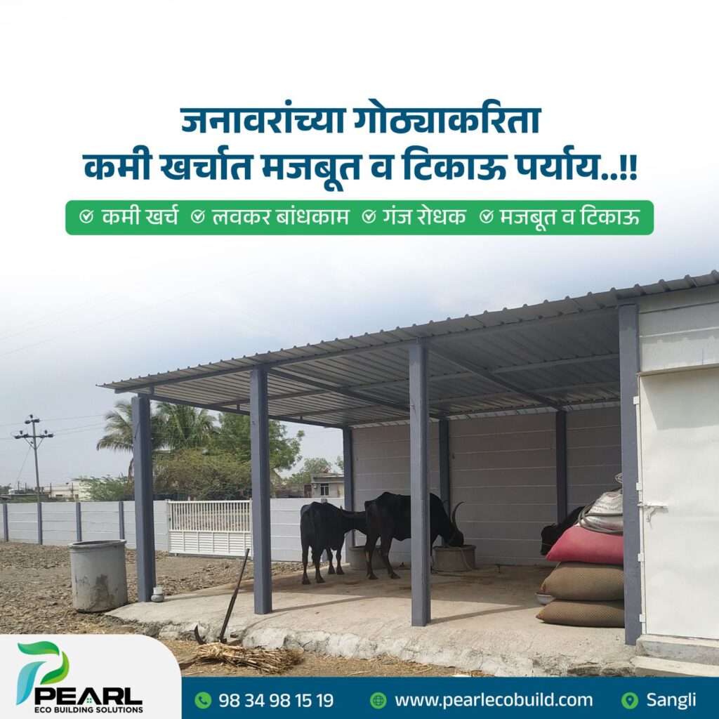 whatsapp image 2026 01 26 at 4.38.56 pm