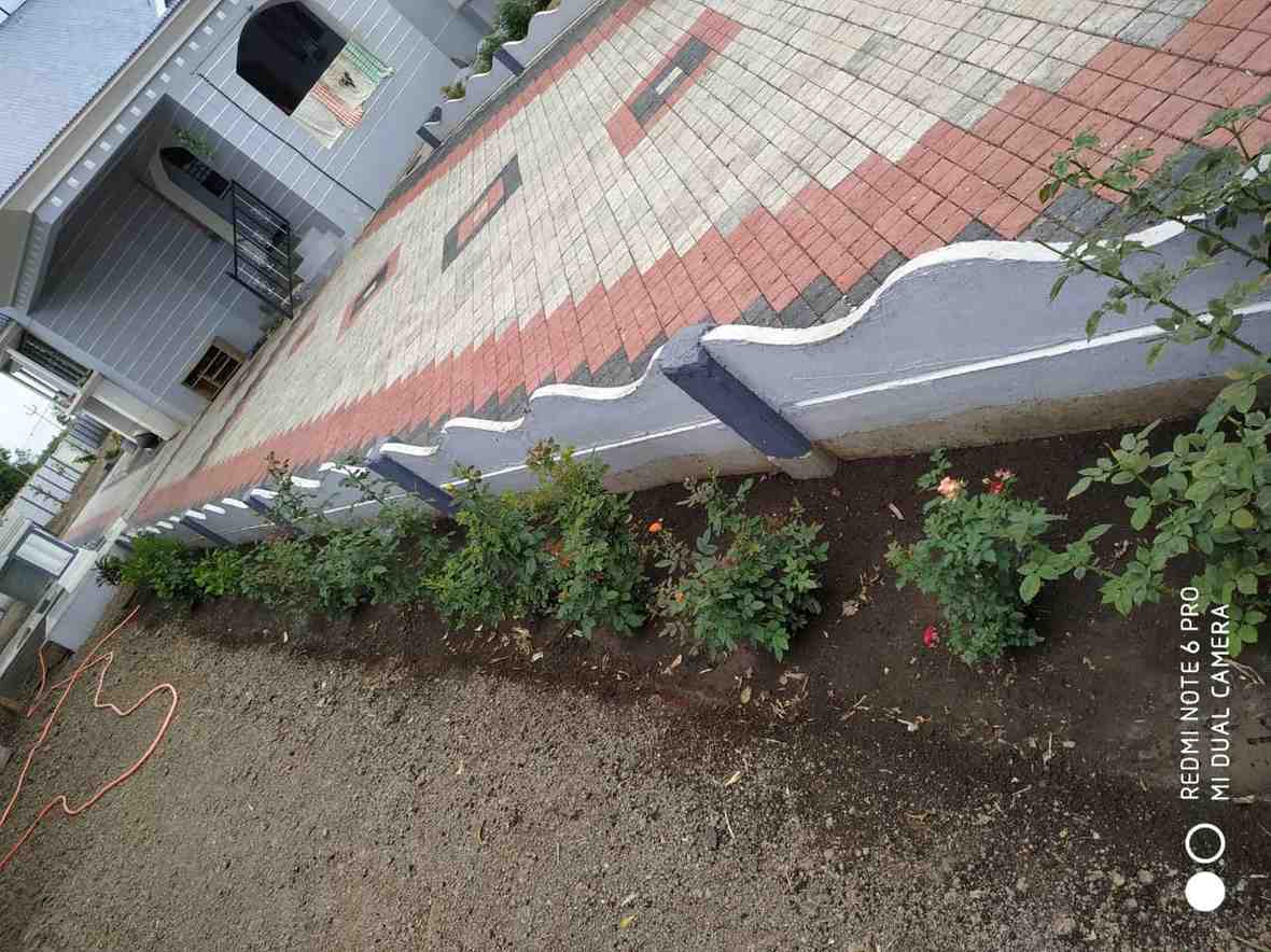 whatsappimage2026 01 26at4.27.19p